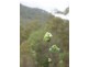 1540 Gaeta Road, Gaeta QLD 4671