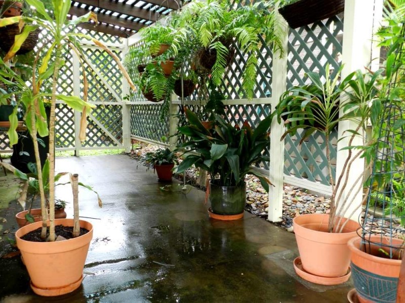 96  Gretel Drive, Clinton QLD 4680