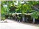 1/28 Satinay Street, New Auckland QLD 4680
