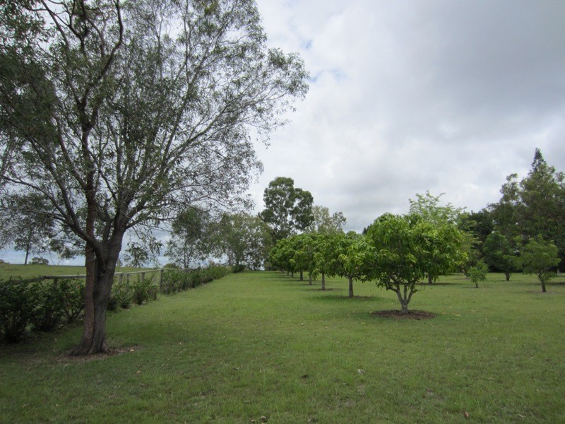 464 Turkey Beach Road, Foreshores QLD 4678