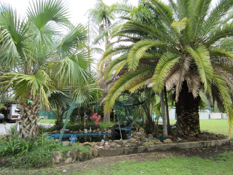 464 Turkey Beach Road, Foreshores QLD 4678