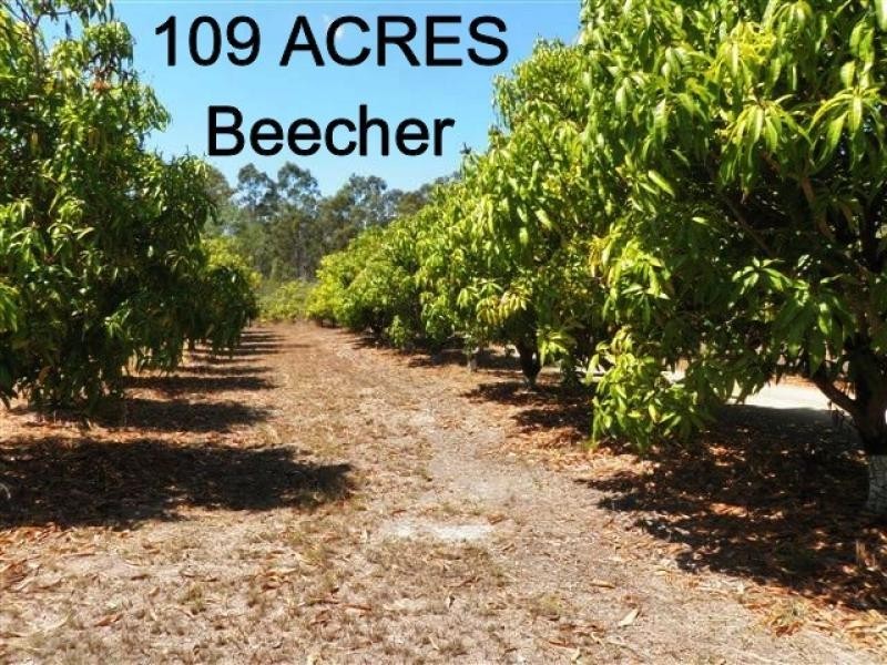 79 William Road, Beecher, Beecher QLD 4680