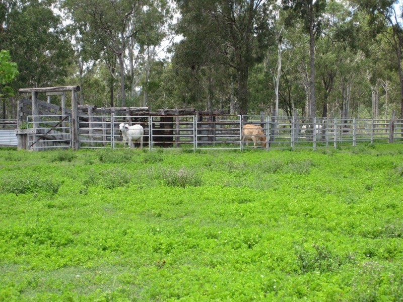 186 Dahls Road, Miriam Vale QLD 4677