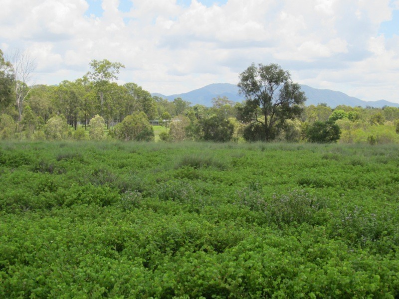 186 Dahls Road, Miriam Vale QLD 4677