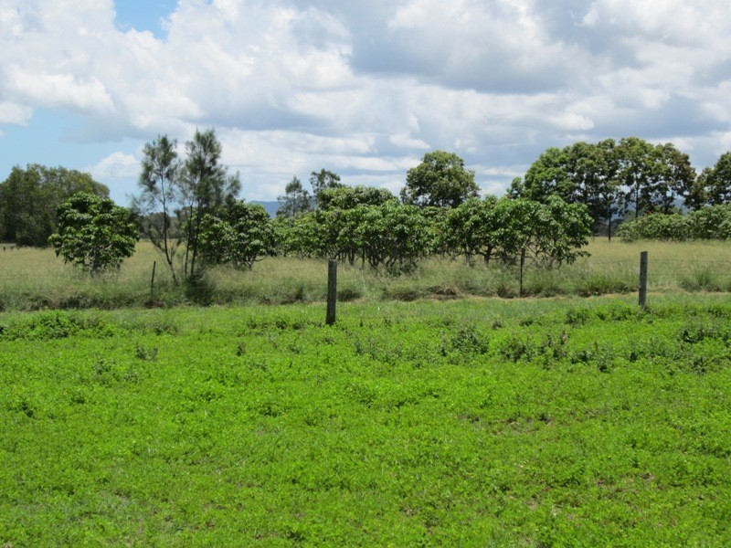 186 Dahls Road, Miriam Vale QLD 4677