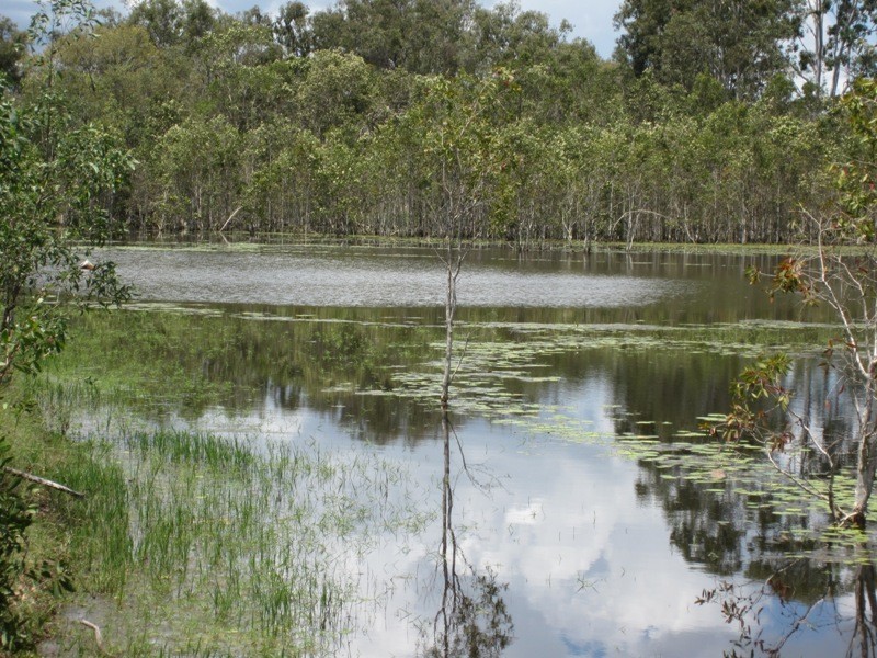 186 Dahls Road, Miriam Vale QLD 4677