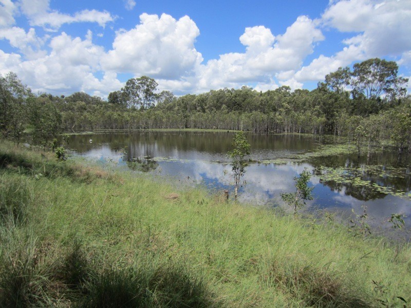 186 Dahls Road, Miriam Vale QLD 4677