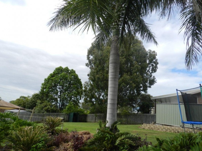 5 Woollybutt Street, New Auckland QLD 4680