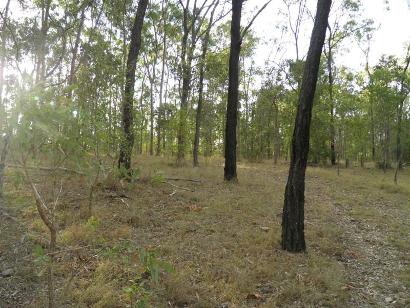 320 Wildman Road, Iveragh QLD 4680