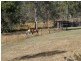 320 Wildman Road, Iveragh QLD 4680