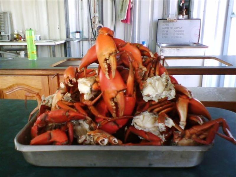 284 Bells Road, Rodds Bay QLD 4678