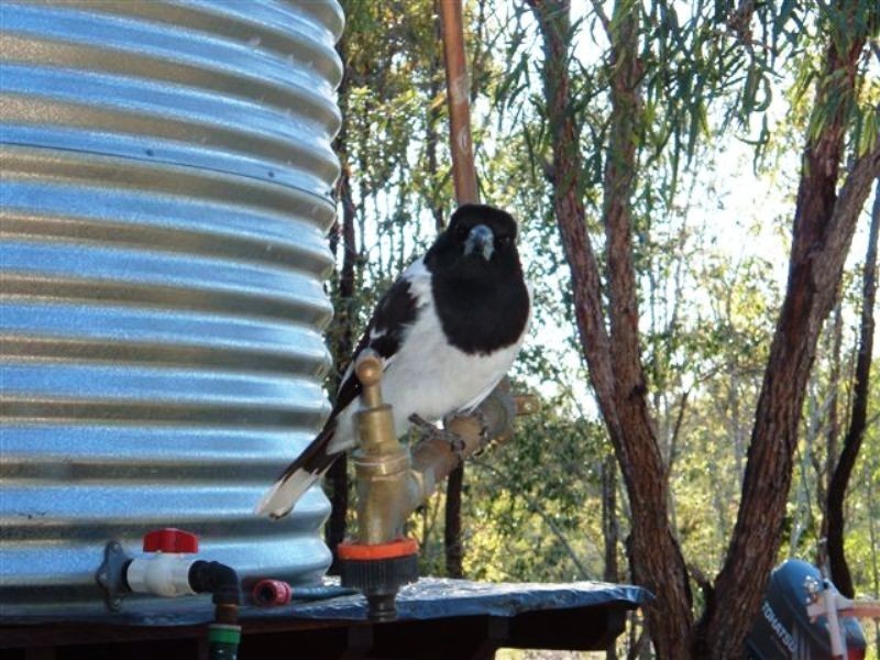 284 Bells Road, Rodds Bay QLD 4678