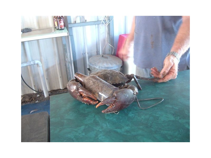 284 Bells Road, Rodds Bay QLD 4678