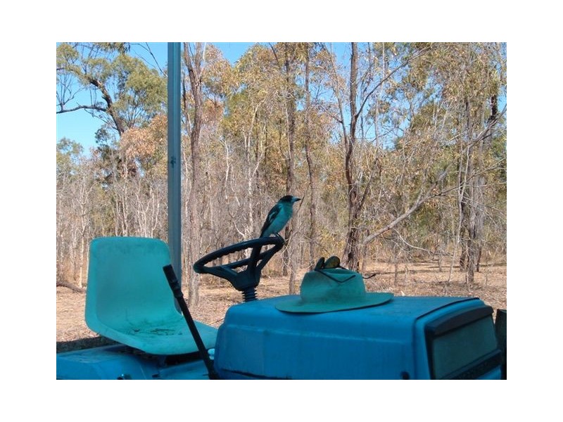 284 Bells Road, Rodds Bay QLD 4678