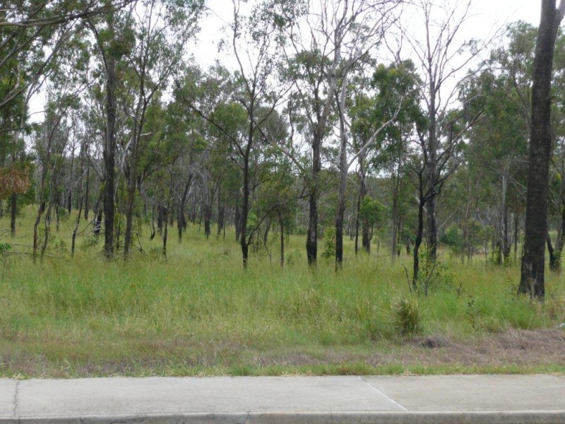 70 Dalrymple Drive, Toolooa QLD 4680