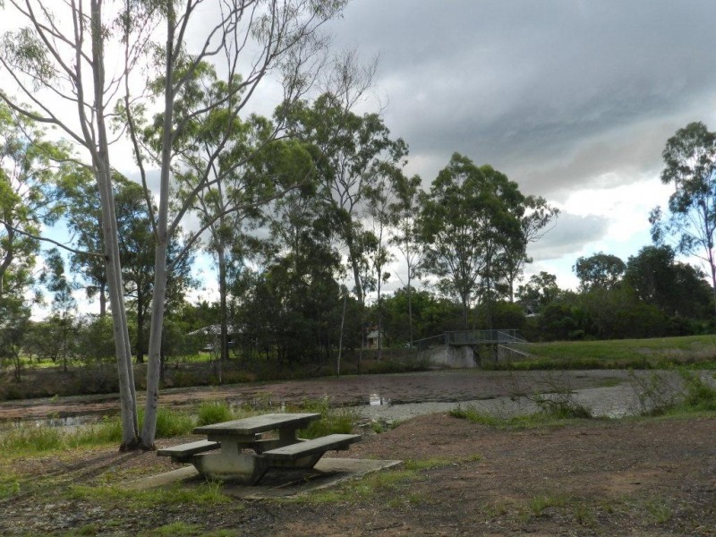 10 Woollybutt Street, New Auckland QLD 4680