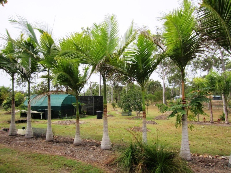 249 Bells Road, Rodds Bay QLD 4678