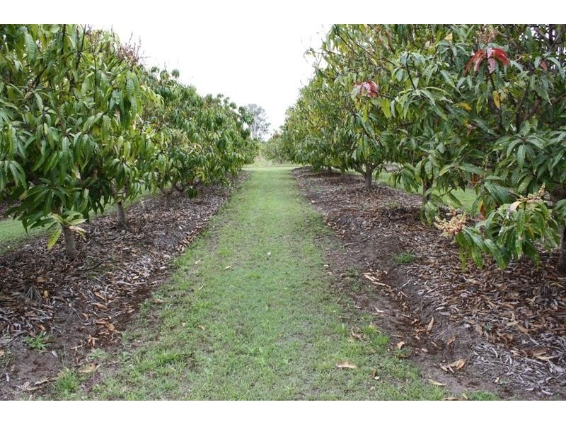 68 Koorawatha Drive, Bororen QLD 4678