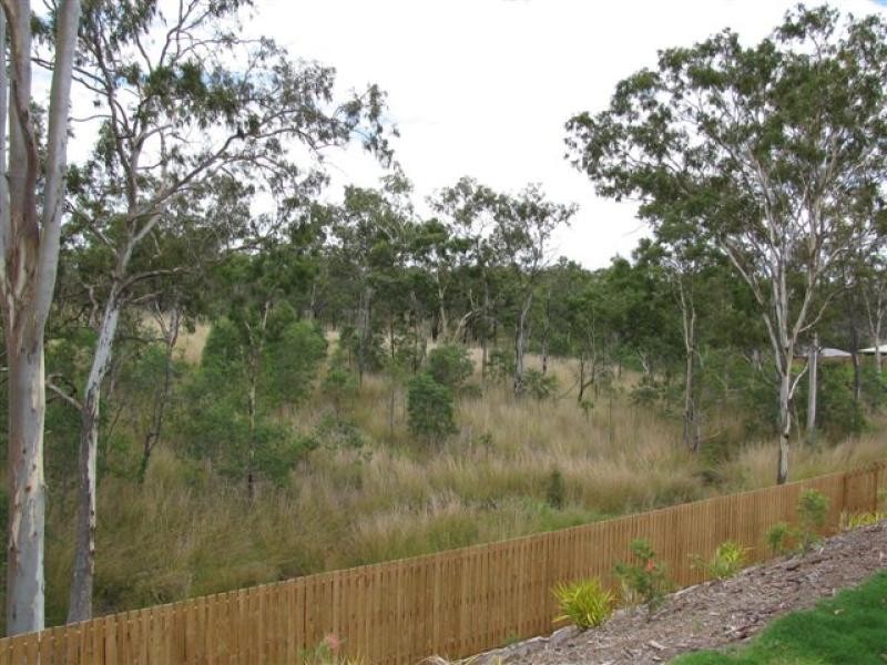 40 Stoneybrook Drive, Glen Eden QLD 4680