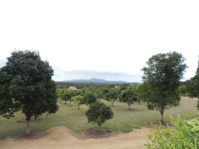 139 Wallaby Track, Mount Larcom QLD 4695