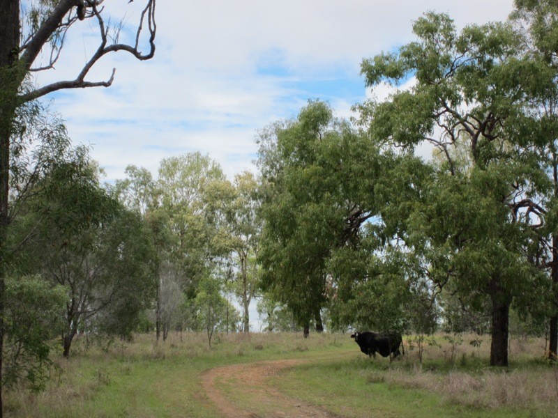 464 Turkey Beach Road, Turkey Beach QLD 4678