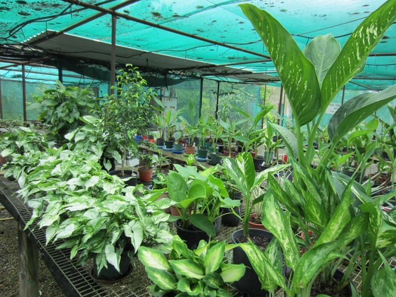 464 Turkey Beach Road, Turkey Beach QLD 4678