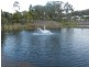 49 Liriope Drive, Kirkwood QLD 4680