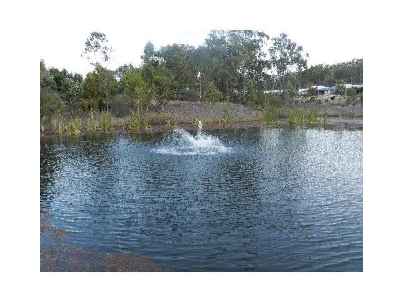 49 Liriope Drive, Kirkwood QLD 4680