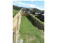 9 Cressbrook Street, Clinton QLD 4680