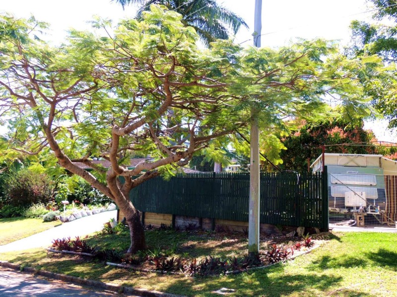 6 Twin Street, Sun Valley QLD 4680