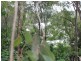 9 Alpine Avenue, Boyne Island QLD 4680