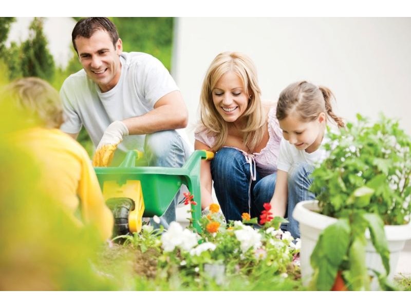 Lot 85 FOREST SPRINGS, Telina QLD 4680