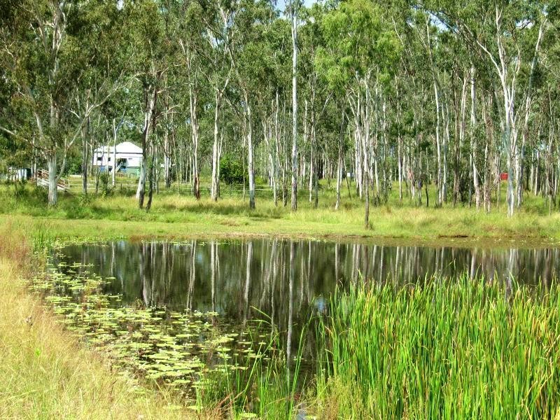 382 Calliope River Road, Calliope QLD 4680