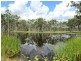 382 Calliope River Road, Calliope QLD 4680