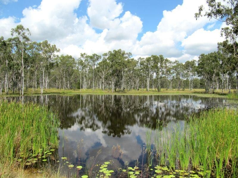 382 Calliope River Road, Calliope QLD 4680