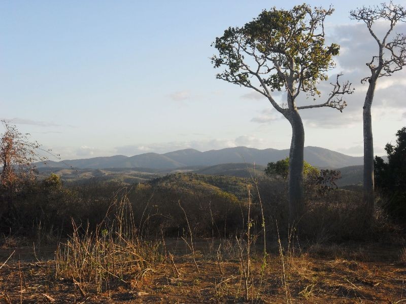 162 Engstrom Road, Mount Larcom QLD 4695