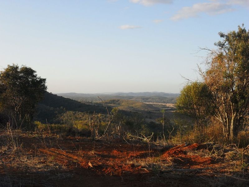 162 Engstrom Road, Mount Larcom QLD 4695