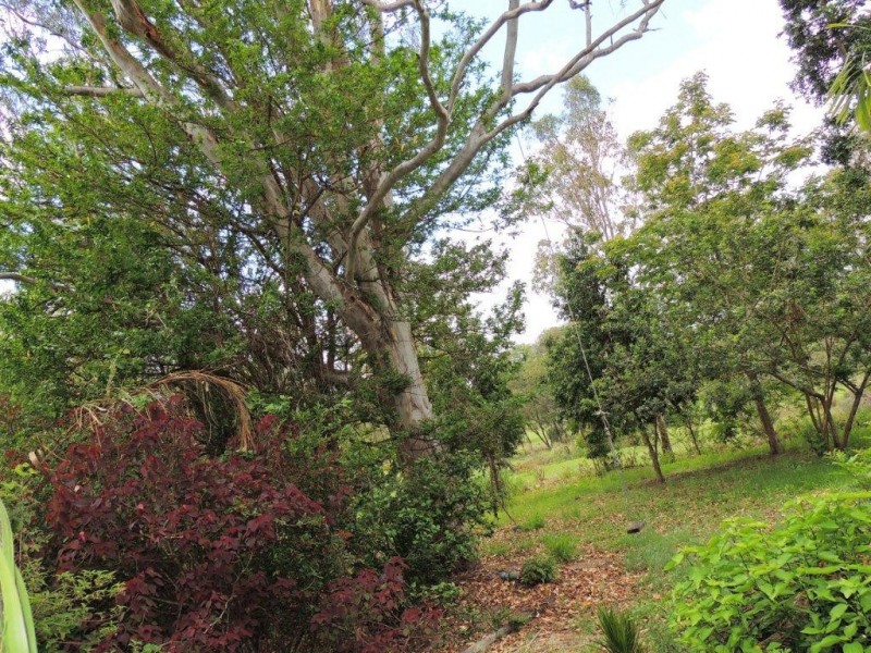 252 Messmate Drive, Miriam Vale QLD 4677