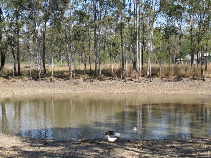 198 Intrepid Drive, Foreshores QLD 4678