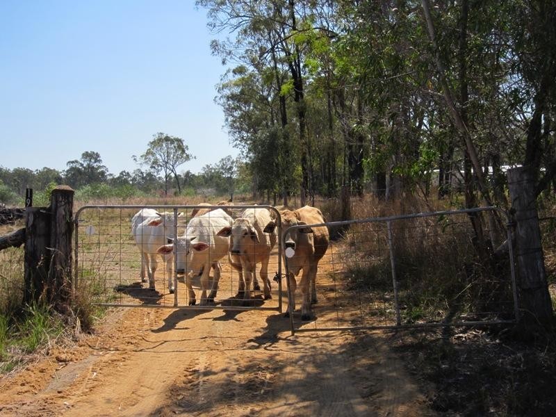 198 Intrepid Drive, Foreshores QLD 4678