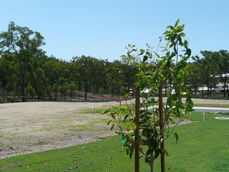 Lot 144 Brookview Estate, Glen Eden QLD 4680