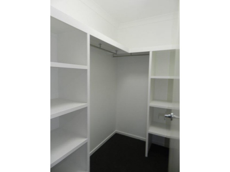 14 Daintree Blv, New Auckland QLD 4680
