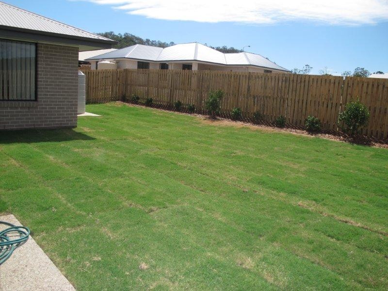 2 Sundew Street, New Auckland QLD 4680