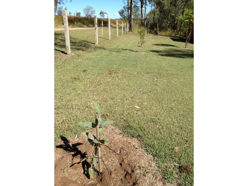 55 Murray Road, Calliope QLD 4680