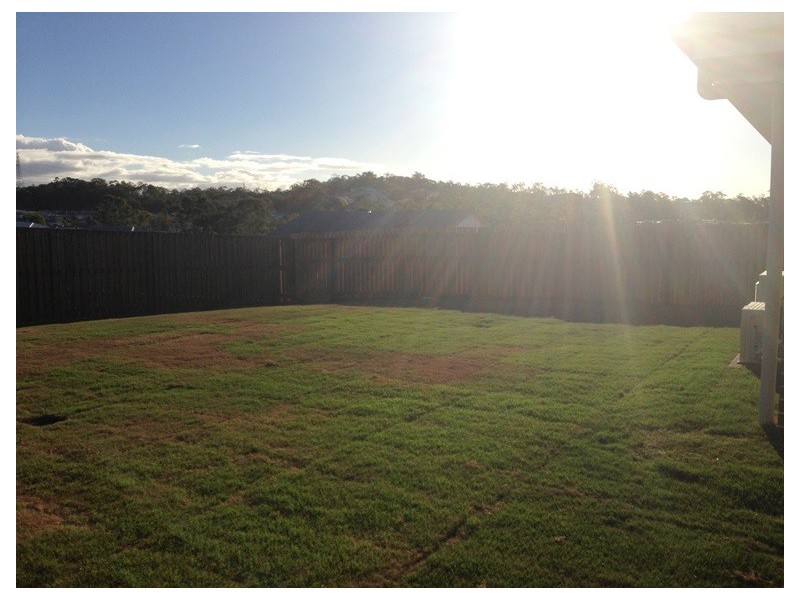 20 Peter Corones, Kirkwood QLD 4680