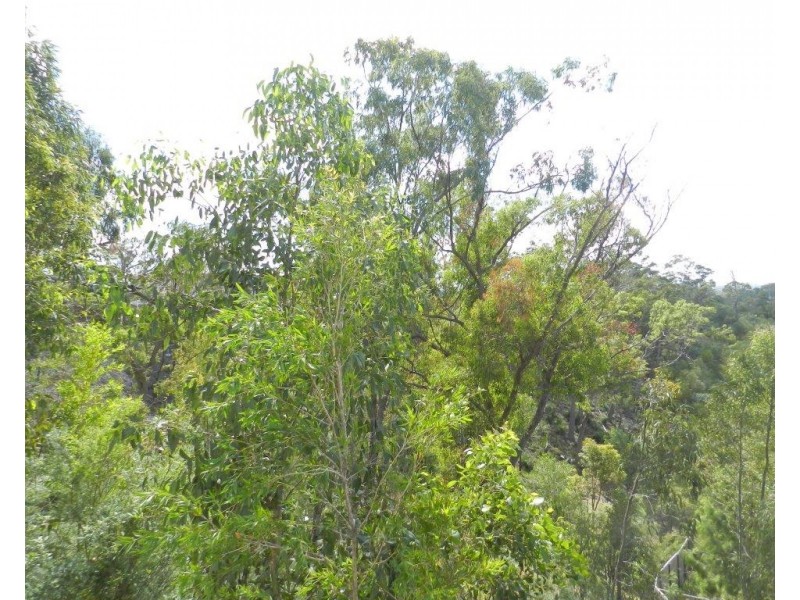 12 Scholes Way, Kirkwood QLD 4680