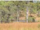 62 Upton Road, Beecher QLD 4680