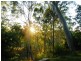 19 Marian Close, Sun Valley QLD 4680