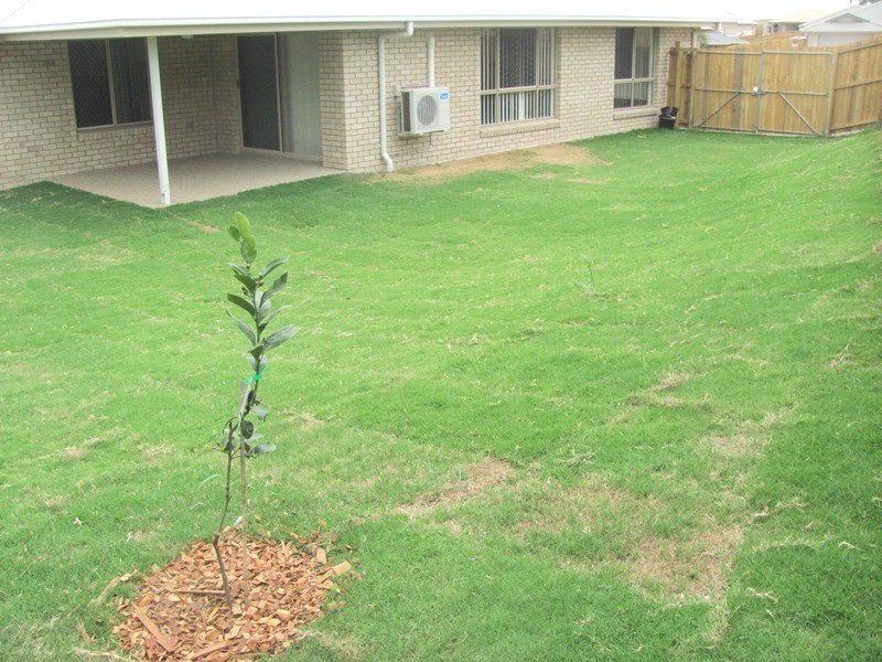 8 London Close, Calliope QLD 4680