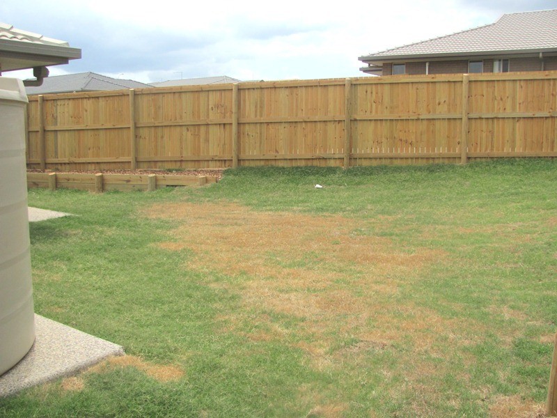 2 Abbey, Calliope QLD 4680